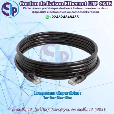 Cordon de liaison Ethernet UTP CAT6 - Fiabilité et Performance