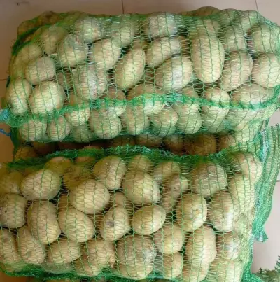 un sac de pomme de terre 25kg 