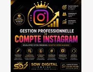 Gestion Professionnelle de Compte Instagram