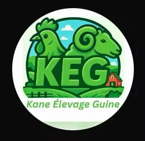 Agri Vet Service
