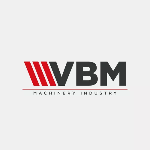 VBM GLOBAL